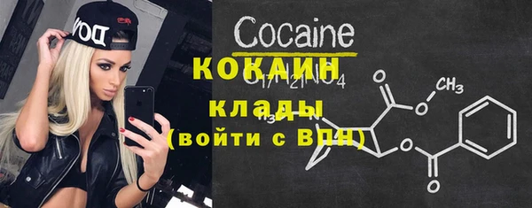 соль ск Алексин