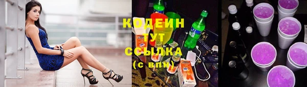 ECSTASY Алзамай