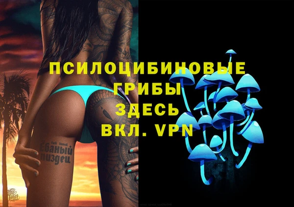 альфа пвп Алексеевка