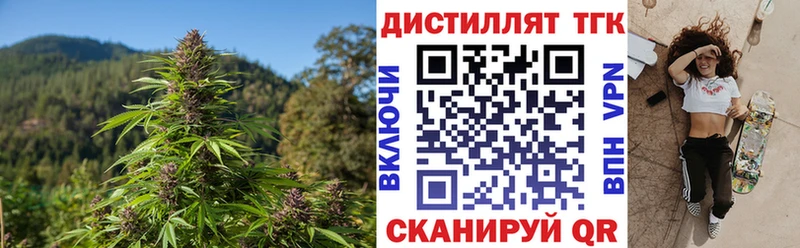 ТГК концентрат  Палласовка 