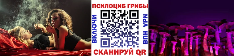 Псилоцибиновые грибы прущие грибы  дарнет шоп  Палласовка 
